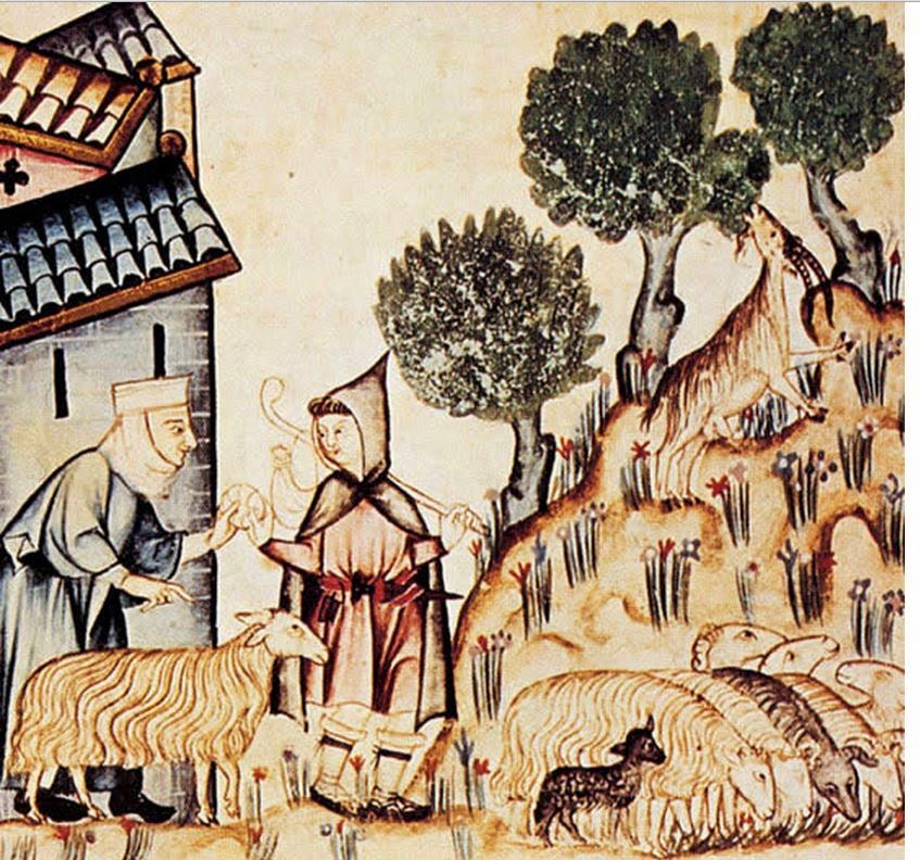 La reina de las razas. La legendaria oveja merina.