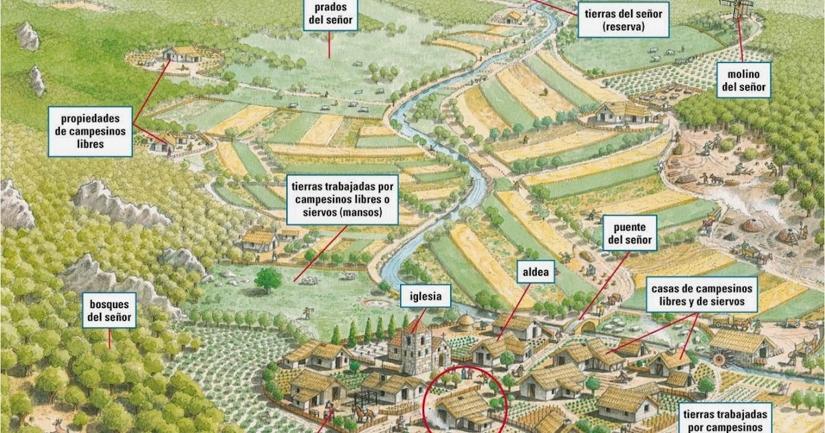 Blog de Sociales 2º ESO : EL FEUDO